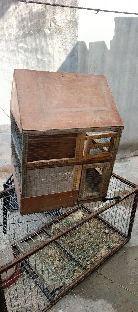 قفاص لبيع ياهو تريده كلشي ب سعره


**إذا كنت صاحب هذا الإعلان وتريد حذفه لأي سبب، رجاءا أرسل رسالة إلى الدعم الفني**