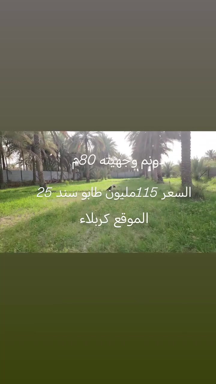 يا الله دونم  طابو سند 25 تحويل مباشر باسم المشتري مسيج بالكامل الواجهيه 80 متر طريق كربلاء طويريج قرب المعهد الفني يبعد عن الشارع العام كيلو  كله تبليط عن التبليط 200 متر السعر 115 @إشارة  ***********

