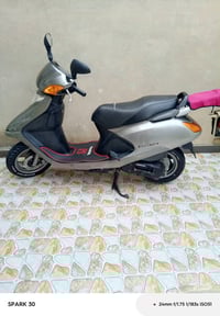 سبيسي ياباني • كفاله سنة • كفرات أصلية