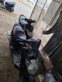 سكنس فحل بلادية مكينة ناعمة نوزل الدراجة بيه صالنصة بوري عدل مراوس بسي...