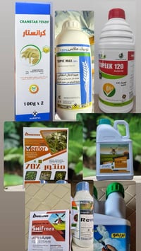 مبيدات ادغال الحنطه • مبيد فطري • السماوة