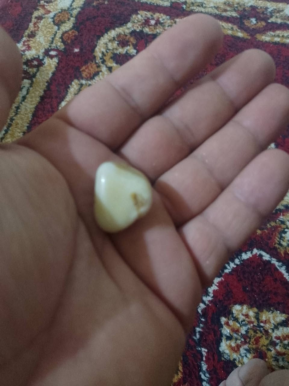 عطف قديم محبه شرط


**إذا كنت صاحب هذا الإعلان وتريد حذفه لأي سبب، رجاءا أرسل رسالة إلى الدعم الفني**