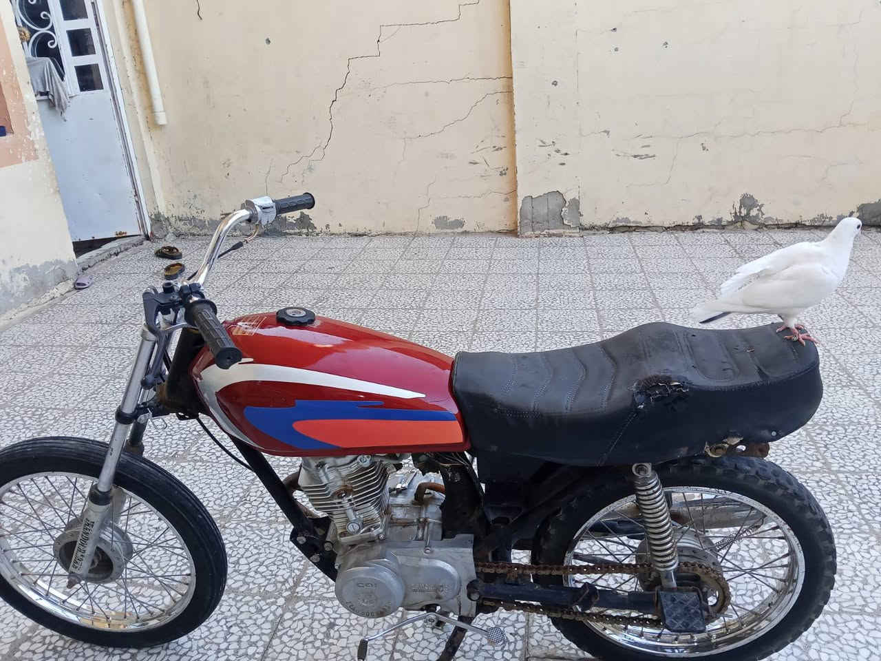 دراجة كلك نضيفة شلعة ومعدل فول سعرهة 225بيهة مجال قليل مكاني نجف شراي يتصل ***********
