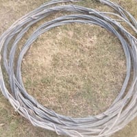 ضفيره تركي • درجة أولى • بابل الحمزه الغربي