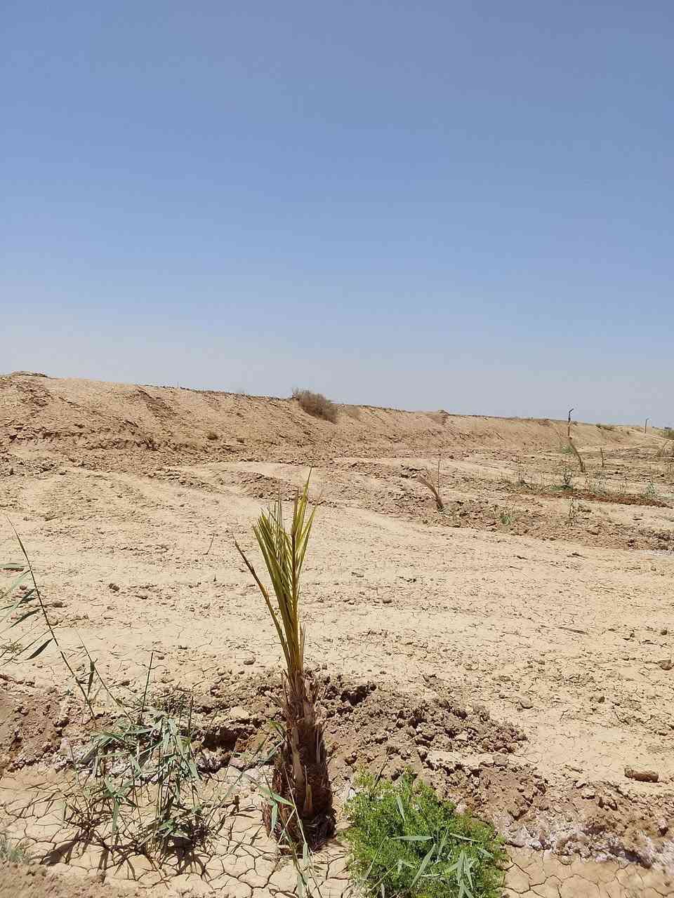 ارض زراعيه للبيع دونمين المكان على طريق الدغاره الشوملي تبعد عن الشارع 600متر ماي متوفر شتا صيف يوجد كهرباء و مدرسه يوجد داخل الارض200نخله***********
