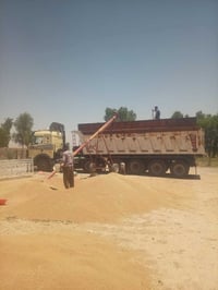نساف • ٣٠-٣٥ • ايجار