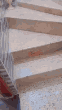 السلام عليكم  للبيع بيت طابقين المساحة ١٣٠ متر ركن طابو زراعي سند بناء حديث فول جاهز .العنوان رئاسة العبيدي مدخل جامع الإمام علي ع خلف السوق الاتصال ***********
