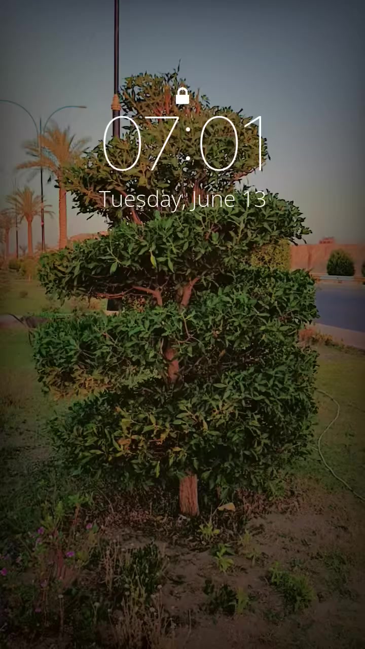 السلام عليكم
الي يحتاج؟
1-تقليم اشجار وعمل دكورات مميزه
2-قص وتنضيف وزراعه وتسميد الحدائق
3-عمل ديكورات وصب ايطار الحدائق بصب الجاهز او العملي وعمل اناره واضائه للحدائق
4-معالجه الاشجار والحدائق

اشتغل كل شيء يخص الحدائق
التواصل خاص او الاتصال خط او واتس اب
***********
