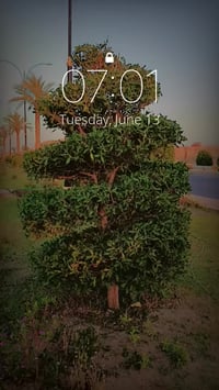 الي يحتاج؟ 1-تقليم اشجار وعمل دكورات مميزه 2-قص وتنضيف وزراعه وتسميد ا...