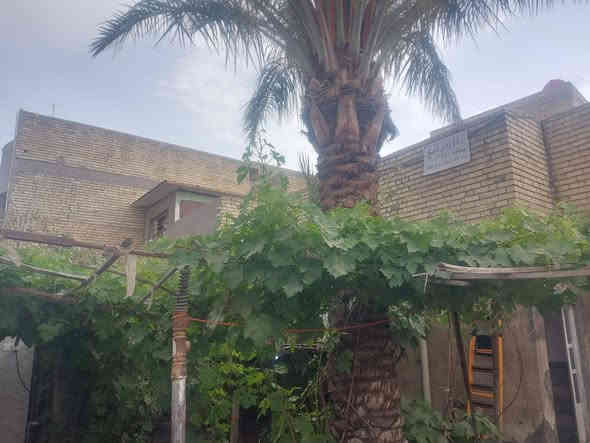 دار للبيع مساحة ٢٥٠ م واجهة ٥ ،١٢ م ونزال ٢٠ م زراعي سند ٢٥ باسمي من التسجيل العقاري بغداد حي السفير مقابل سكلة ابو جمال مكونه من ٢ غرف وصالة  واستقبال ومطبخ وحمام وكراج  كبير وحديقة مثمرة تغطي كل المساحة الخارجية وصحيات خارجية أرضية البيت كرانيت درجة أولى   ثلاث خطوط ماء . خابط واسالة ،كهرباء وتبليط ومجاري . يصلح ان يقسم دارين .اتصل  ***********
