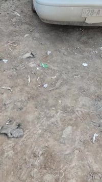 موديل ٩٢ • مصبوغة • رقم نجف