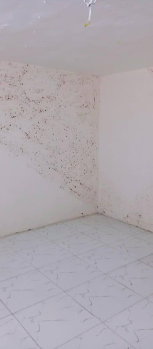 دار للايجار في حي الكرامة طابق ونص / غرفة نوم (2) / استقبال / هول / مطبخ / حمام /مرافق/ مخزن / ارضيات بورسلين / جدران سيراميك / سقف ثانوي /خط مولده /الموقع حي الكرامه 18 شارع المركز قرب حلاقة بسولي / فرع الخضروات بدل الايجار 250
للتواصل
                               ***********
 غير متواجد على الفيس
