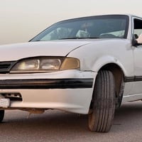 دايو برنس • ١٩٩٤ • صبغ عام