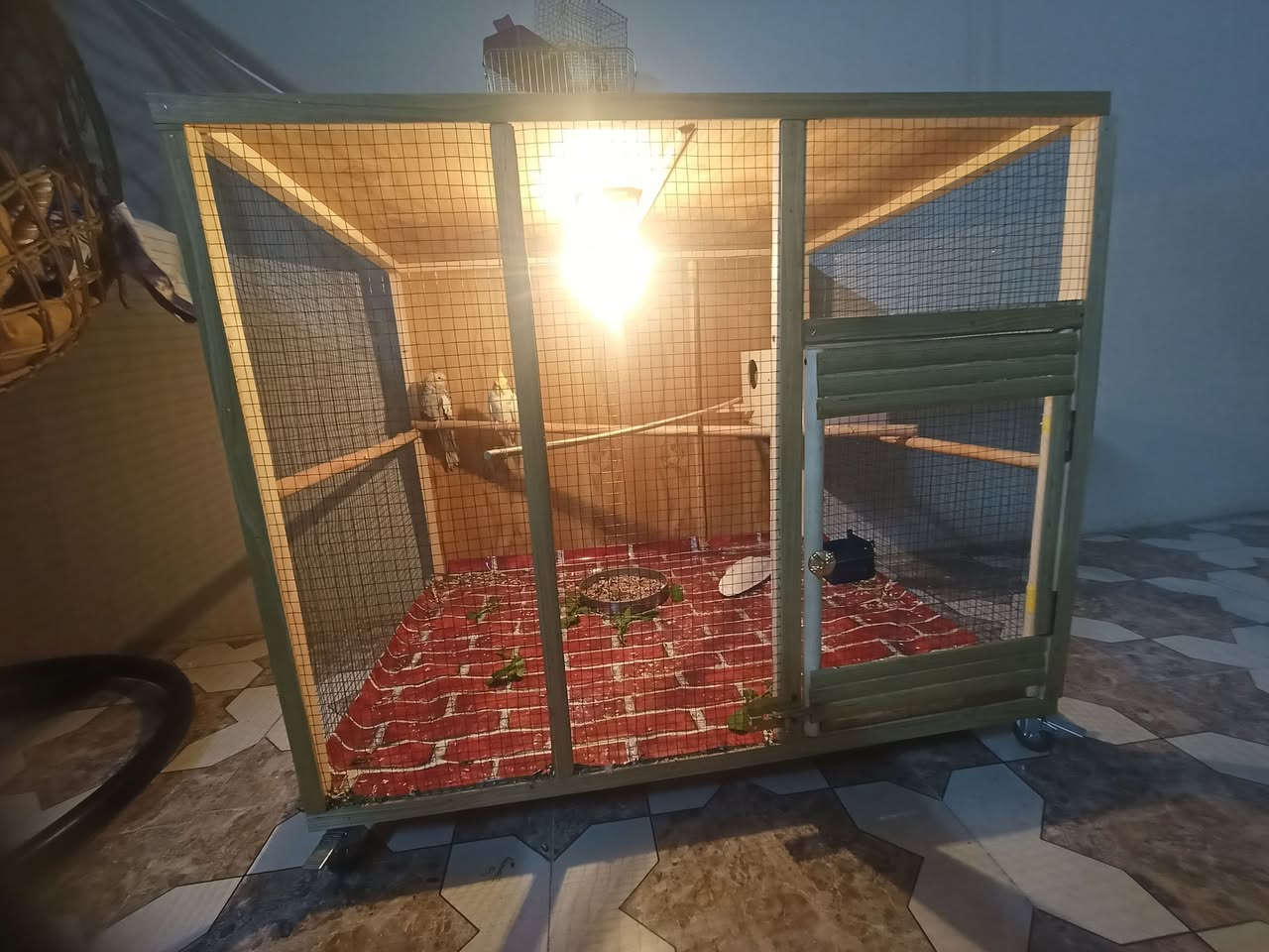 قفص للبيع مستخدم شهر واحد
قياسات القفص العرض100الارتفاع80العمق 80

مكاني موصل الجانب الايمن


**إذا كنت صاحب هذا الإعلان وتريد حذفه لأي سبب، رجاءا أرسل رسالة إلى الدعم الفني**