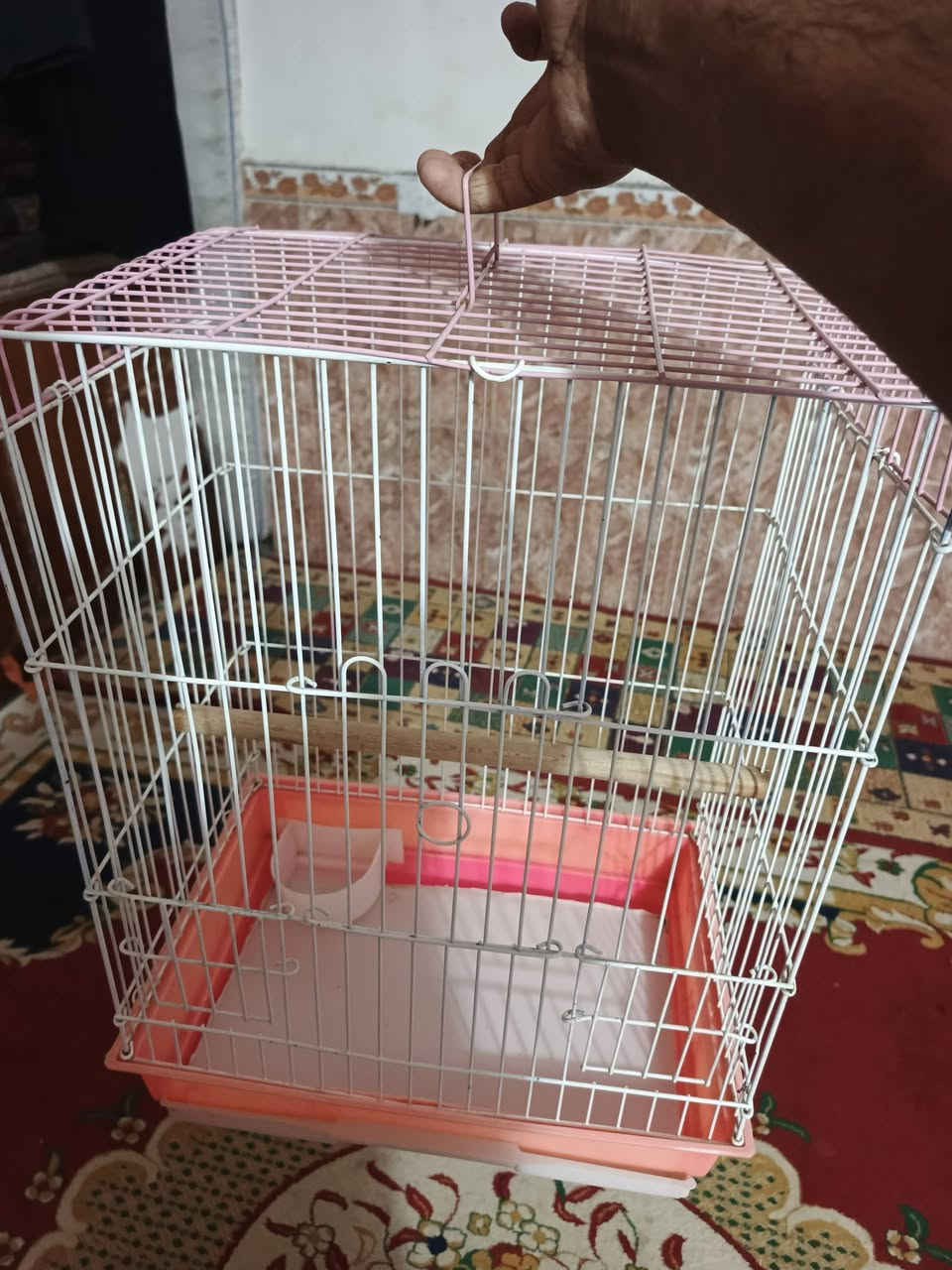 قفص للبيع مستعمل قليل الحديد الثقيل  يرهم مال دره مال قندور مال طيور حب.  مكاني حي لحكم. 
***********
