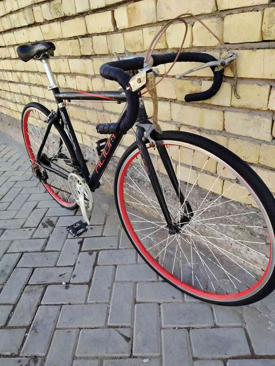 رود ماركة التون ALTON  صناعة يابانية معدن ألمنيوم فريم نفخ  حجم الإطار 28×700 تخم تاير جديد
سستم شميانو 3×7  دراجة وضع حاوية كاملة من أي نقص السعر ١٠٠ مكاني بغداد مدينة الصدر يتوفر توصيل


**إذا كنت صاحب هذا الإعلان وتريد حذفه لأي سبب، رجاءا أرسل رسالة إلى الدعم الفني**