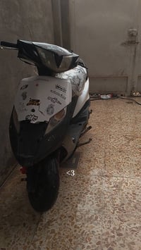 ماكس • زينون • اخضر