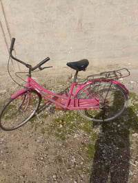 بايسكل • عبدالحليم • حجم٢٦