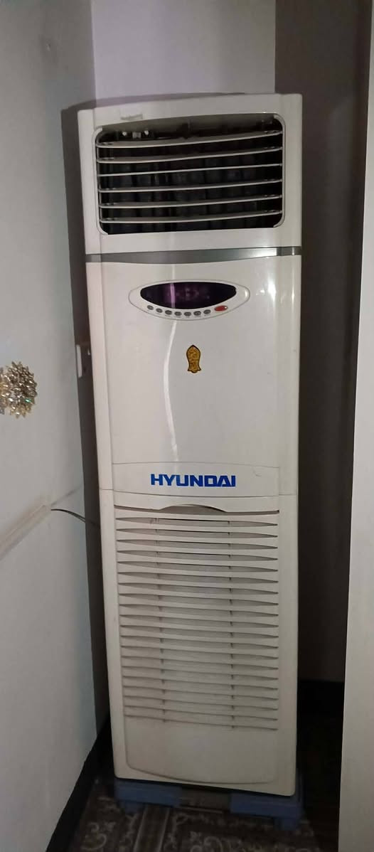 للبيع ب٥٠٠


**إذا كنت صاحب هذا الإعلان وتريد حذفه لأي سبب، رجاءا أرسل رسالة إلى الدعم الفني**