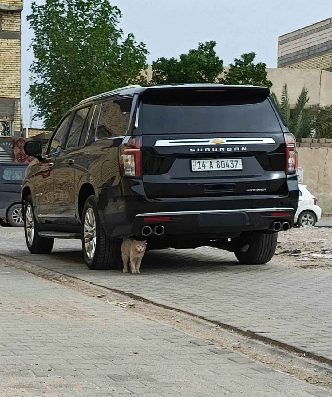 تاهو سوبربان برايمر طويله مديل 2023 راقم بصره خصوصي ماشيه 140k حادثهه سرقه بدون فتحه  طبله تويل مكاني البصره 
السعر 340 راقم هاتف ***********

