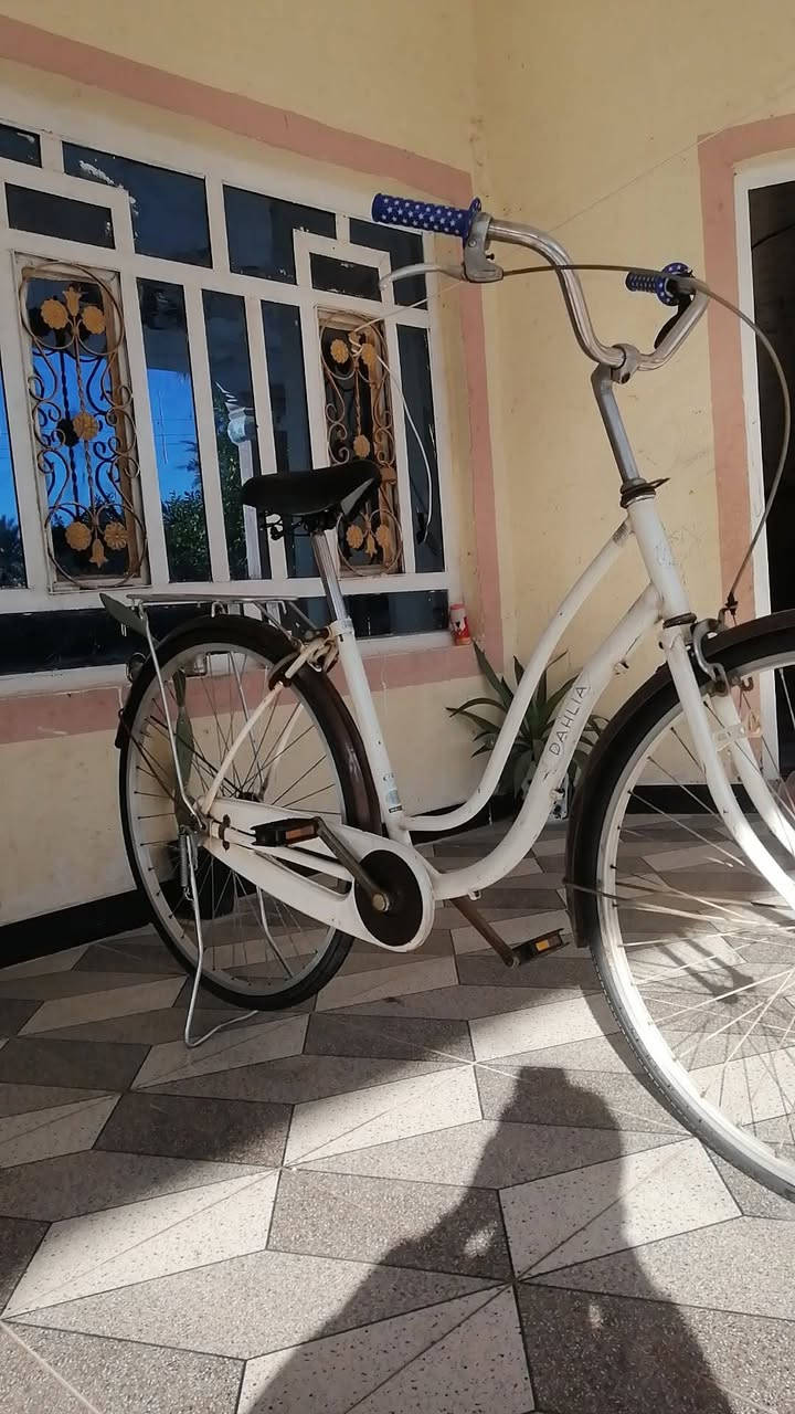 السلام عليكم بايسكل للبيع حجم 27 باسكل باله النظيف قطع الصبغ ما مصبوغ موديل 2010 المكان المكان حله ورديه خارج منطقه بنافع سعر اللي يريده يخابرني على الرقم***********
