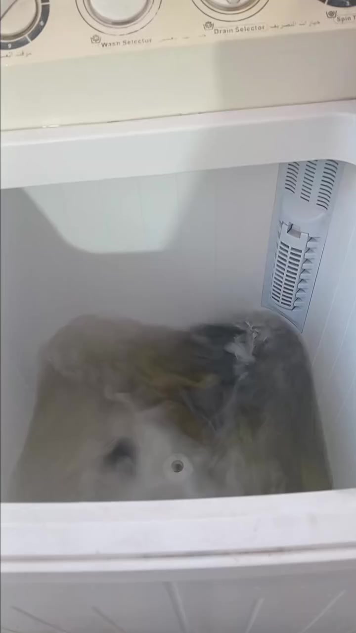 سلام عليكم غسالة للبيع شرط شغل نظيفه ماداخله تصليح ابد السعر خاص او تصال ع رقم الهاتف ***********
