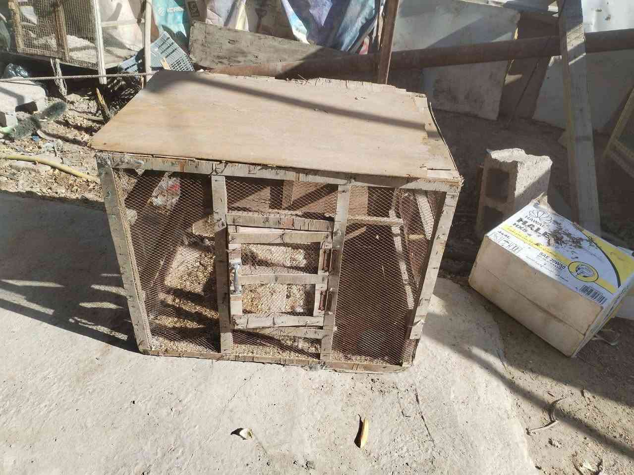 خانيه،للبيع،اسعار منيب


**إذا كنت صاحب هذا الإعلان وتريد حذفه لأي سبب، رجاءا أرسل رسالة إلى الدعم الفني**