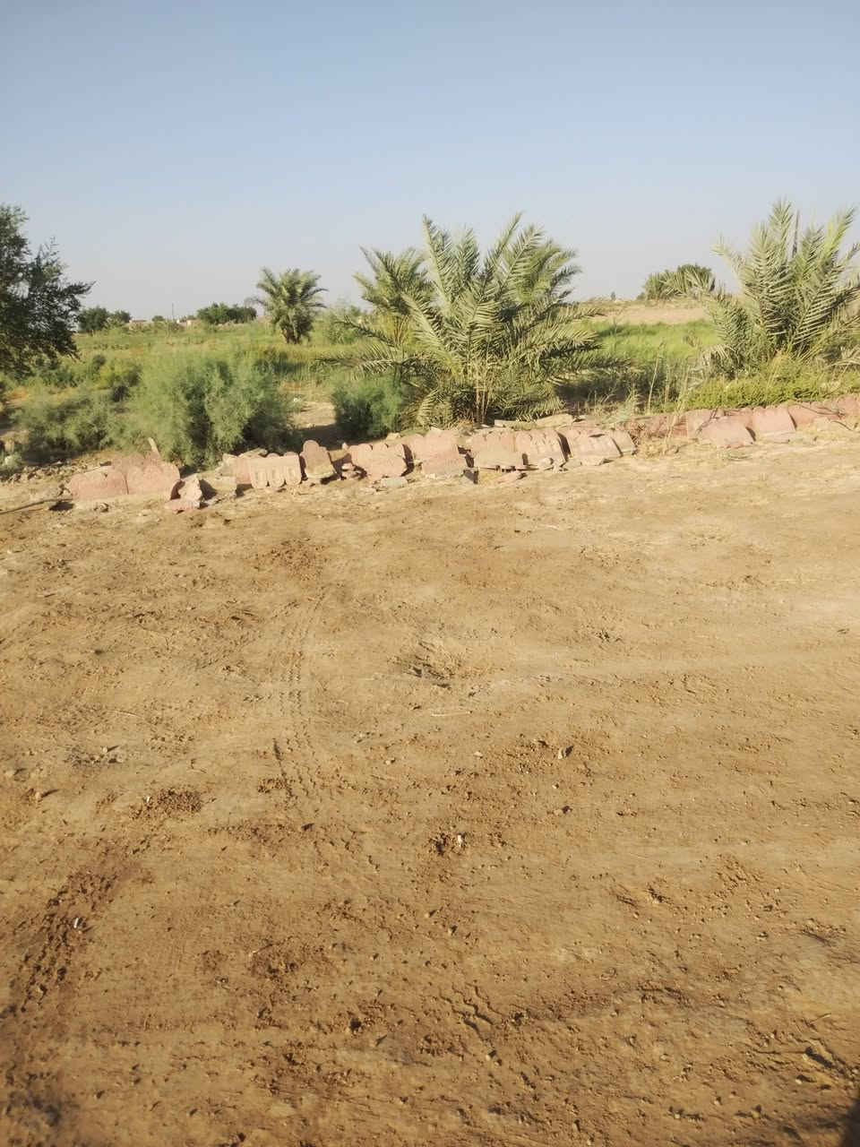 سلام عليكم الارض البيع موقعه فرع الزيوت بلحميره غريب ع بيت محسن جعازج مساحه 5 دونم ماي متوفر دامن شتاء وصيف عليه نهرين ماي بيت جاهزه السكن بيه نخل شويتي كله يحمل مزروعه حطنه رقم  ***********
