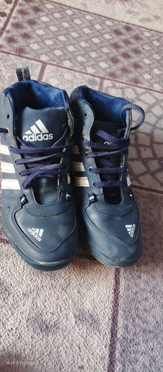 حثيه 15 زوج البيع السعر كلهن 50 ألف مكان القرنه هور السعد ***********
