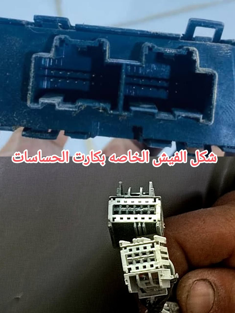 اخوان للمهتم بتشغيل الحساسات الخلفيه للدوج


**إذا كنت صاحب هذا الإعلان وتريد حذفه لأي سبب، رجاءا أرسل رسالة إلى الدعم الفني**