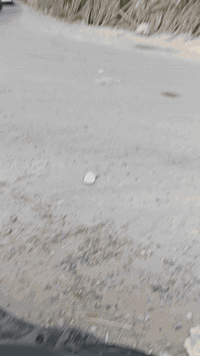 قطعة ارض للبيع مساحه ١٠٠   ترهم نص افلوس والباقي قسط  ٠٧٧٦٢٠٣٤٨٢٠