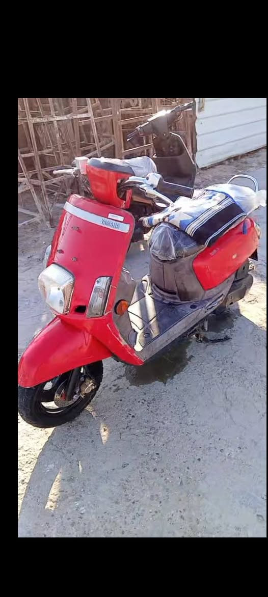 السلام عليكم دراجه للبيع بوليس مصطره الدراجه كفاله عامه صارله شهرين من مطلعه للبيع 1,50 وبيه مجال ***********
