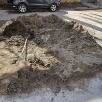 زميج • نبات للحديقة • شط المسيب