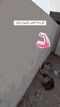 سلام عليكم كادر أبو رضا الكعبي الجص والبورك ولبخ بغداد فقط متفرغين حالين شغل حسب الطلب ***********
