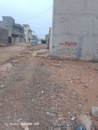 يم جسر ليلان • أرض زراعية • ١٠٠م