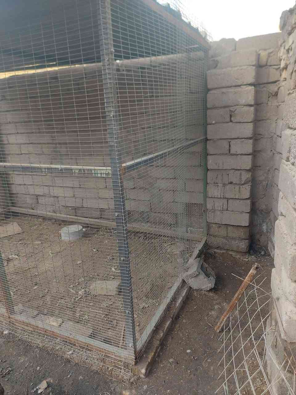 محميه جبيره وشغل درجه اولى وصارت عليه ب٣٥٠  ورايدها ب٢٥٠ والشراي يدلل مكاني بصره قضاء القرنه اتصال/***********
