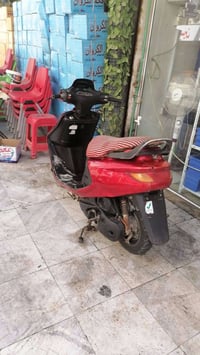 فراشه • هندل وسلف • بصرة