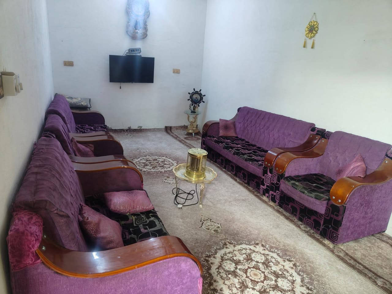 تخم قنفات للبيع مكلف بل نشر***********
