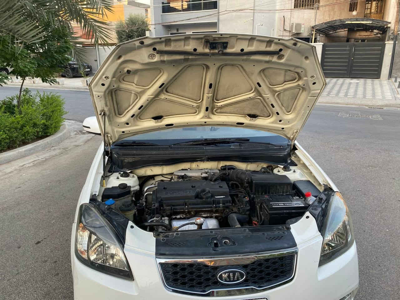 السلام عليكم من رحصت الادمن ريو موديل 12فقط بابتين صبغ اثر طخه والباقي مكفول كير محرك مكفولات تبريد شغال ثلج تتفئه صدر خلفي امامي جديد داخل جديد كهربائيات كلهه شغاله 
تخم تاير جديد سيد اواكس 
رقم بغداد بسمي هزه جديده رقم جديد دولي ثاني يرم تحويلهه 
السعر 85 وبيها مجال بسيط 
مكاني بغداد المنصور 
وهاذا رقمي ***********
