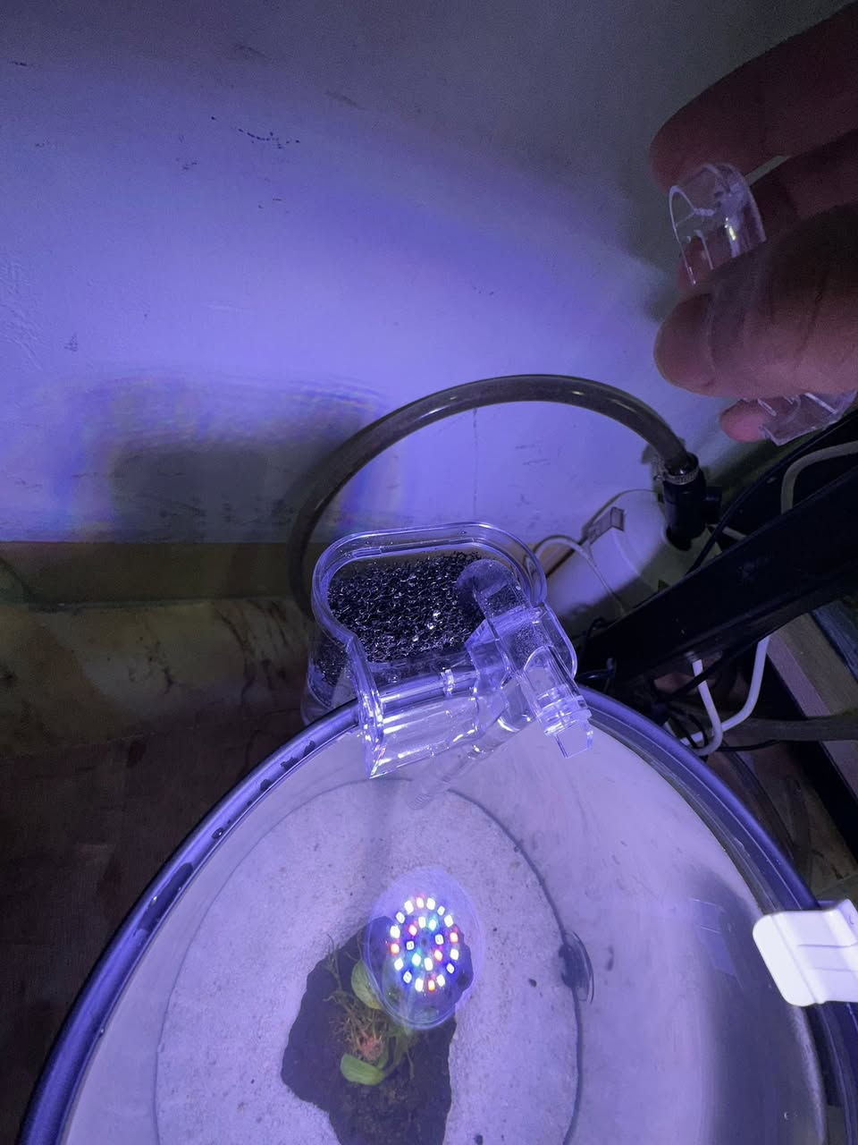 نرخی ٥٠ هەزار
حەوزی گیایی بۆ فایتەر دیزاین كراوە
ئاوگۆڕینی ناوێت بۆ مدەیەكی زۆر
فلتەری بایۆلۆجی لەسەرە
لیدێكی هەڵواسراوی لەسەرە
بە ٣ مۆدی جیاواز ئیش ئەكات
مۆدی یەكەم سپی
مۆدی دووەم پەمەیی و شین 
مۆدی سێیەم سپی و پەمەیی و شین
 بنی حەوزەكە لمی سپی ڕازاوەتەوە
گیایەكی سروشتی  لەگەڵە كە سودی زۆرە بۆ ماسی فایتەر
قیاسی بەرزی ٢٠ سم وە تیرەكەی ٢٠ سم
جۆری حەوز ئاركلیك  
_______________________
ئەوەی ویستی نامە بنێرێت لە واتس ئەپ یا ڤایبەر 
***********
گەیاندنمان بە تەواوی كوردستان هەیە
