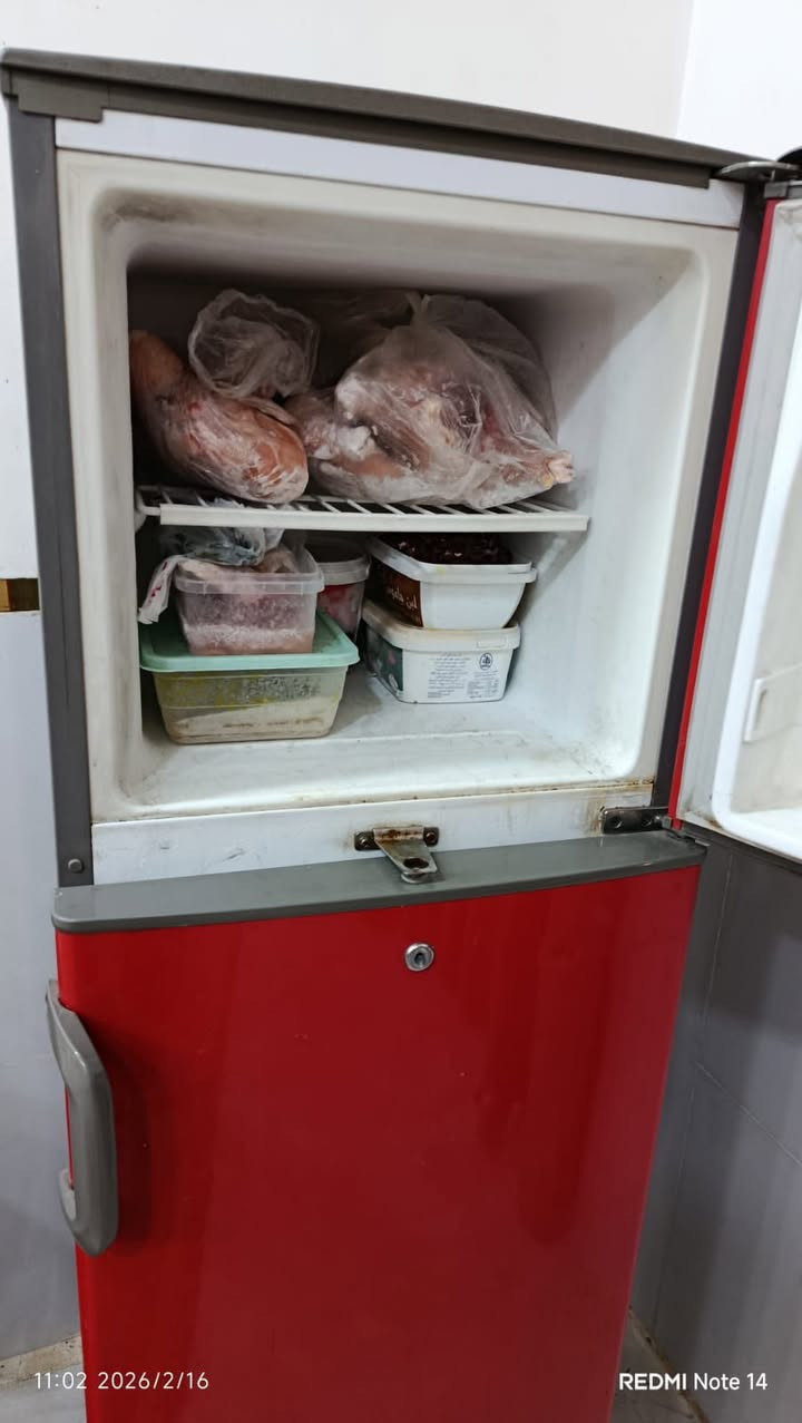 ثلاجة كيلون 12 قدم
شغالة تجميد فوك وجوة 
للاستفسار عن السعر خاص 

مكاني الحسينيه راشدية


**إذا كنت صاحب هذا الإعلان وتريد حذفه لأي سبب، رجاءا أرسل رسالة إلى الدعم الفني**