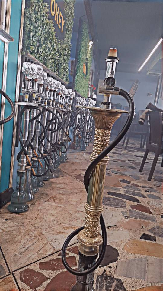 نێرگەلەی ط بۆ فرۆشتن بە جوملە ١سالە بەکار هاتوە  
*********** السليمانية, العراق
