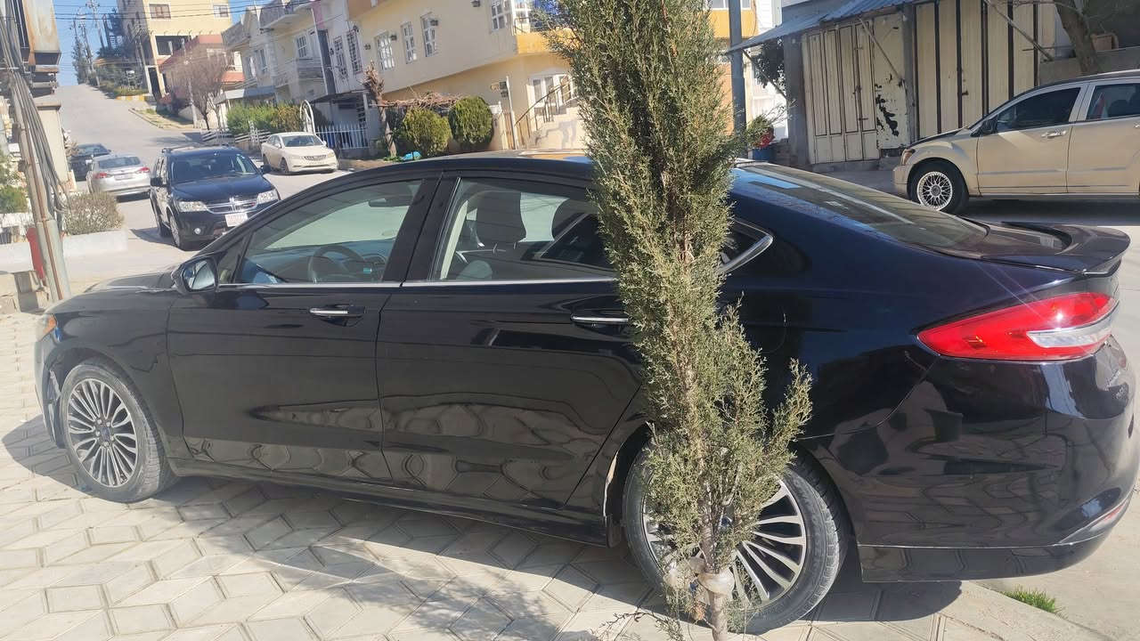 فورد فيوژن 2017
بي بوياخ
مةكينة 2.5
ئير باگ سوكان و شاني دواي سةكن تةقيوةو سيستةمة
177 كم روشتوة
تايةي تازة
باتري تازة
*********** واتساپ
144$مجالي برايانة
