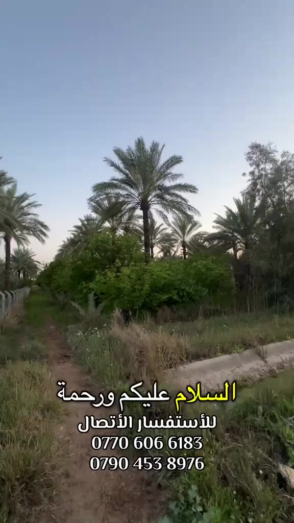 🔹 الموقع: منطقة الراشدية
🔹 المساحة الكلية: 3 دونم
🔹 متوفر البيع بشكل مجزأ:
 • دونم واحد
 • دونمين
 • ثلاثة دونم

🔹 الأبعاد:
 • عرض الدونم: 33 متر
 • نزال (عمق) الدونم: 70 متر

🌳 مواصفات البستان:
 • مزروع بأشجار مثمرة
 • يحتوي على حمضيات 🍊 ونخيل 🌴
 • أرض جاهزة للاستثمار أو السكن

🚧 مميزات الموقع:
 • البستان يطل على شارعين:
 • شارع جهة البحيات (يبعد دقيقتين)
 • شارع جهة المراسمة (يبعد 5 دقائق)

💰 السعر:
 • 250 مليون دينار عراقي لكل دونم
 • السعر غير قابل للتفاوض

📞 للاستفسار والاتصال:
 • ***********
 • ***********
