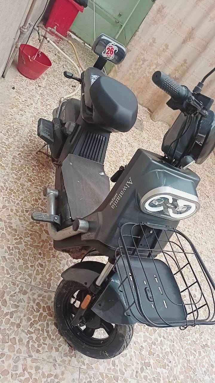 سلام عليكم ماكور شحن اخو الجديد كلو شقال 3نمر بطاريات شرط الماطور جديد السعر 275وبي مجال حك الجيه


**إذا كنت صاحب هذا الإعلان وتريد حذفه لأي سبب، رجاءا أرسل رسالة إلى الدعم الفني**