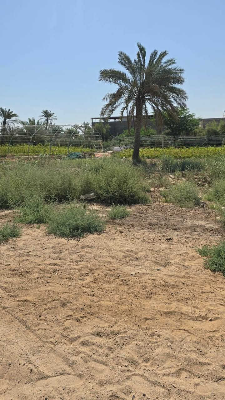 تقسيم جديد واسعار جدا مناسبه ومساحات مختلفه شكد تردون موجود سعر 200متر 20مليون وبيه مجال نوع العقار طابو مالك صرف زراعي عراقي سند 25 وعدنه 200متر على تبليط سعره 25 مليون العنوان بصره أبي الخصيب منطقه باب العريض تبعد على سوك أبو الخصيب جبير مايقارب 500متر الاستفسار اتصل ***********
