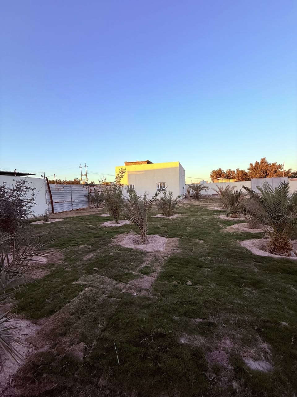 السلام ‏عليكم أحبائي المتابعين ***********
‏ ((السعر 370 وقابل للتفاوض))
بستان 2000 متر مع دارين بناء طابوق العقار ملك صرف
‏الدار الأول بمساحة 250 متر يحتوي على ثلاث غرف وديوان كبير وصالة كبيرة ومطبخ

‏الدار الثاني بمساحة 120 متر يحتوي على غرفتين وديوان مطبخ وصالة وصحيات 
 
ابي الخصيب قرب تقاطع المحكمة

السعر 370 وقابل للتفاوض

***********

***********

#عقاراتالبصره #شعبصيني_ماله_حل #الشعب_الصيني_ماله_حل #العقارات_للبيع #البصرة #مشاهير #الشعبالصينيمالهحل #مشاهيرتيكتوك #جنس_العقار #مشاهيرفيسبوك  #مشاهيرفيسبوك #مشاهيرتيكتوك #جنس_العقار #العقارات #البصرة #مشاهده #العالية #الجمهورية #بريهه #الجزائر #الجزيره #العباسية #الجنينة #الجبيله #الابلة #الطويسه # #الوفود #المطيحة #الفاو #السيبة
