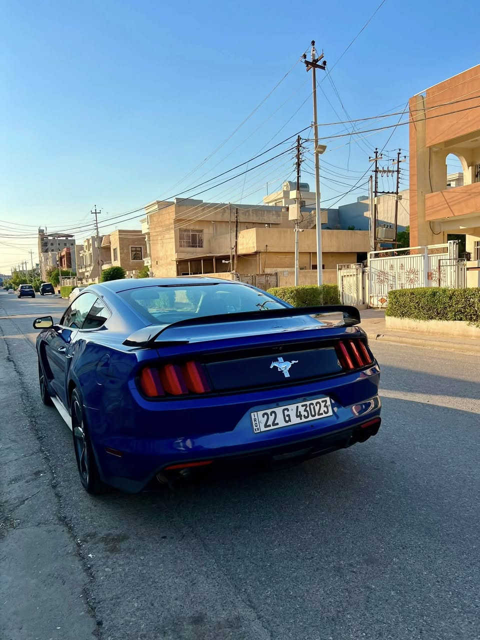 فورد موستانك ماشية ٧٧ الف كيلو حقيقي ٦ سلندر
سيارة نظيفة جداً والتحويل ثاني يوم
بدون ايرباك وبدون شواصي فقط البطانه او اللغد مال جاملغ الامامي بي تعديل وصور الحادث مرفقة بالمنشور 
كير ومكينه مكفولات كل تبديلات الدهن بالشركة وكل الوصولات موجودة 
وبدلنا هايدروليك الكير قبل اسبوعين ايضاً بالشركة
مواصفات الستة سلندر العادية
بيها ٤ قطع صبغ 
البابين والجاملغات الامامية اثنينهن بدون شواصي وبدون ايرباك 
بيها بارد بالجاملغ الخلف السائق مثل ما موضح بالصورة
وبيها طعجة بالجاملغ الخلف السكن مال امريكا ايضاً مثل ما موضح بالصورة
داخلها نظيف كلش السيارة ما متعوبة ابد ومن ٢٠١٨ عندنا حيل نظيفة وماداخلة استعراضات وهاي الامور
كلها ع البلاد من البرمجة و حجر البيئة
سعرها ١٥٠ ورقة وبيها مجال 
مكاني اربيل
***********
