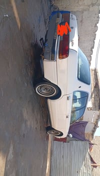 مصبوغة • رقم إنكليزي • ثاني يوم