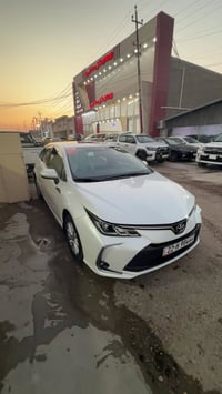 كورولا • ٢٠٢٤ • رقم أربيل